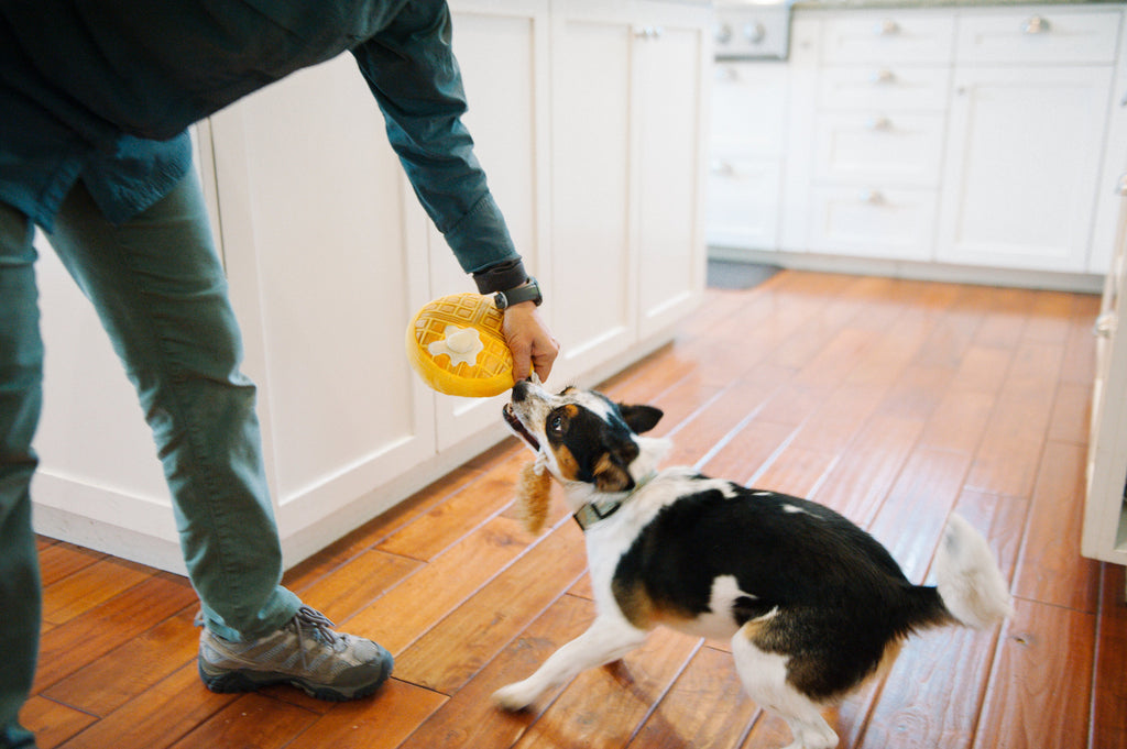 Barking Brunch Chicken & Wooffles Plush Dog Toy