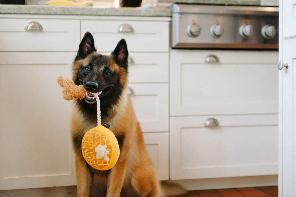Barking Brunch (Mini) Chicken and Waffle XS  - Dog Toys