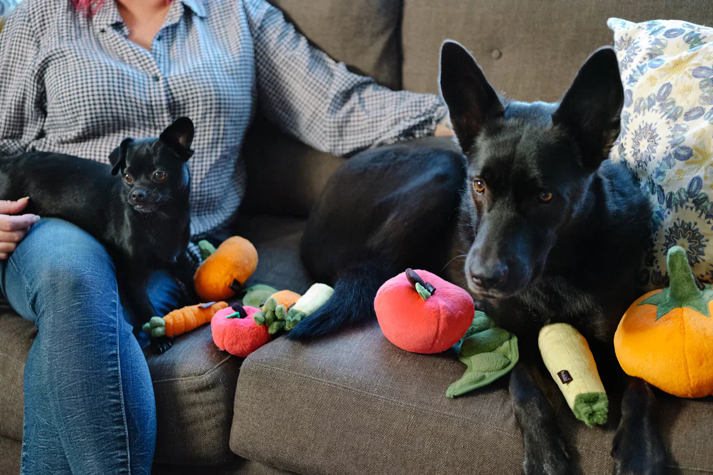 Garden Fresh (Mini) Apple XS - Dog Toys