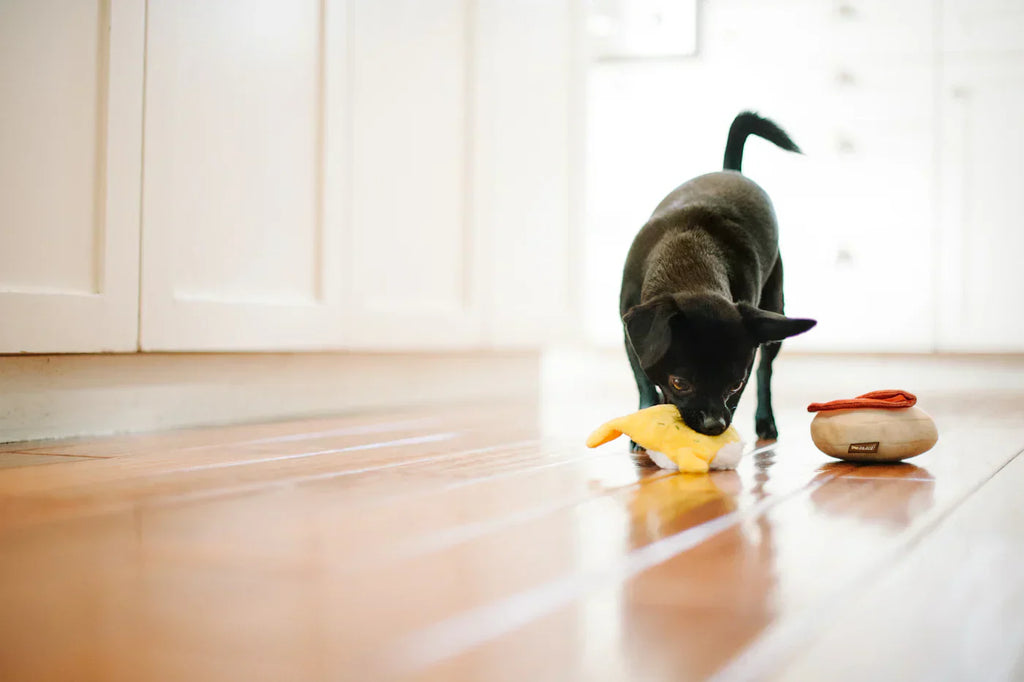 Barking Brunch (Mini) Egg Benedict XS  - Dog Toys