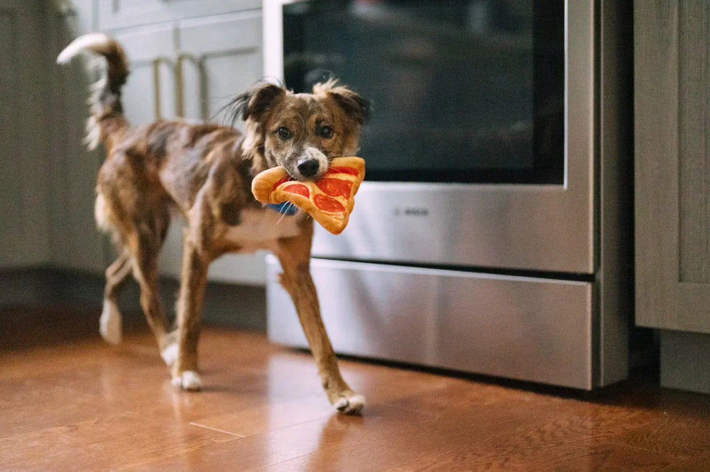 Snack Attack (Mini) PizzaSlice XS  - Dog Toys