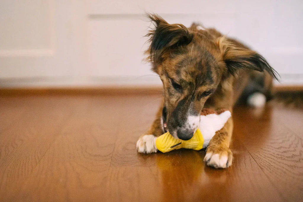 Snack Attack (Mini) SoftServe XS  - Dog Toys