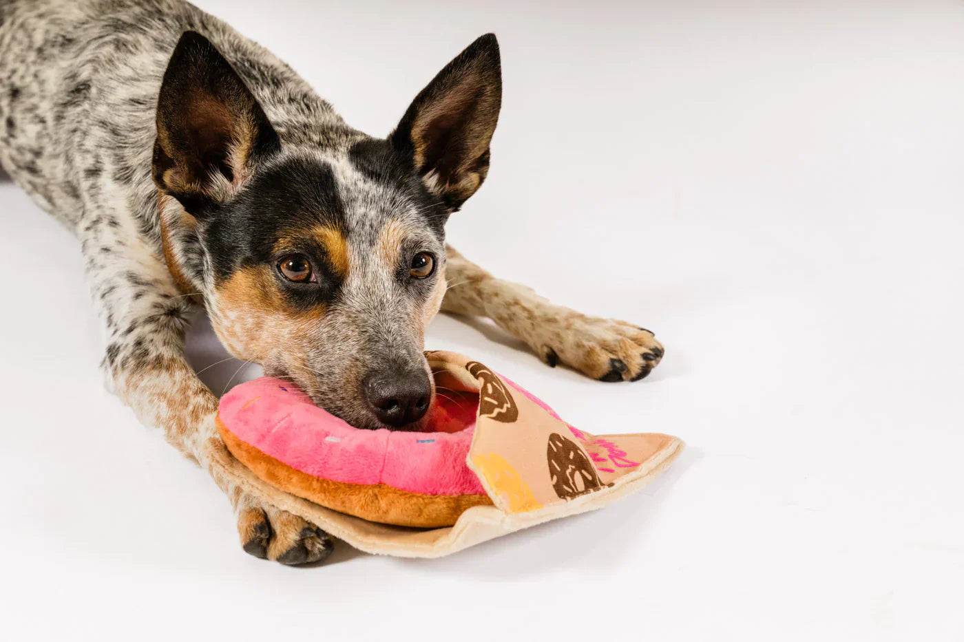 Pup Cup Cafe (Mini) Donut XS  - Dog Toys