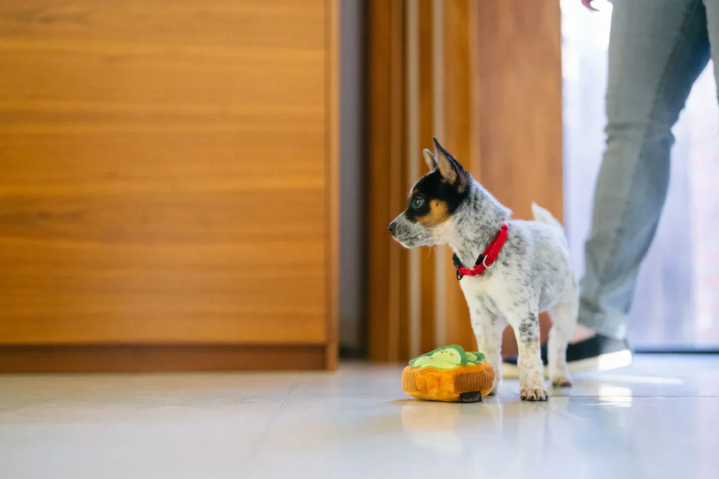 Barking Brunch (Mini) Avocado Toast XS  - Dog Toys
