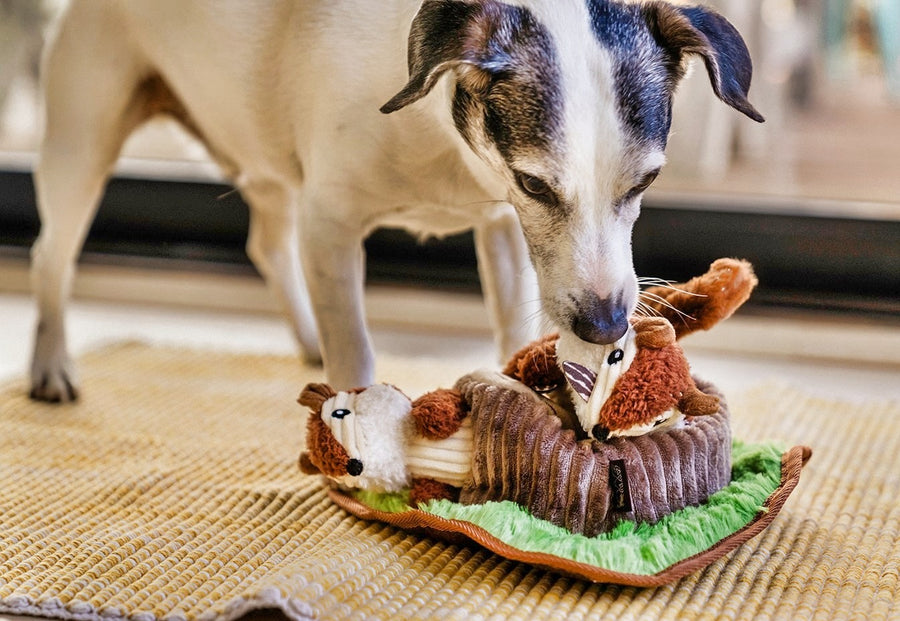 Forest Friends - Chippy and Cheeks the Chipmunks