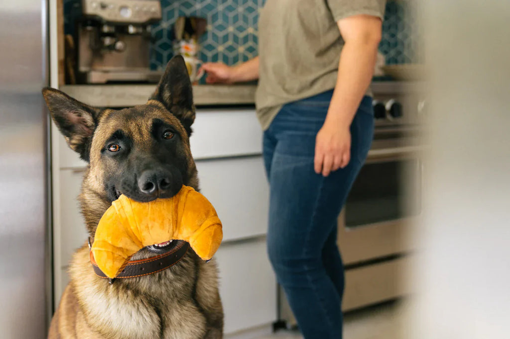 Barking Brunch (Mini Croissant XS  - Dog Toys