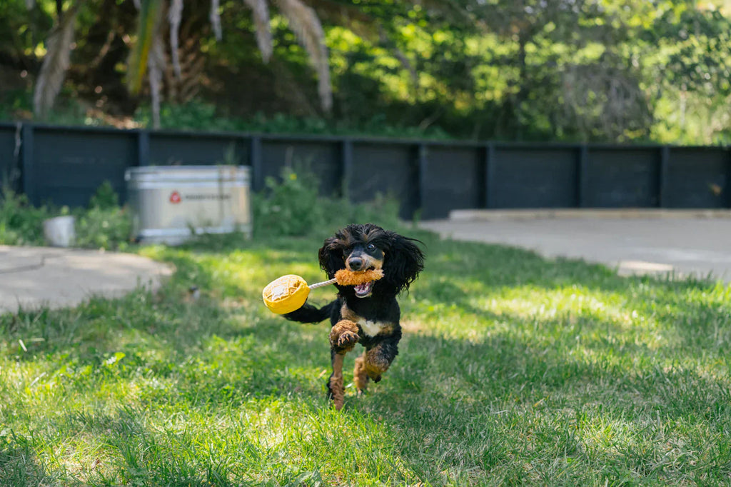 Barking Brunch (Mini) Chicken and Waffle XS  - Dog Toys