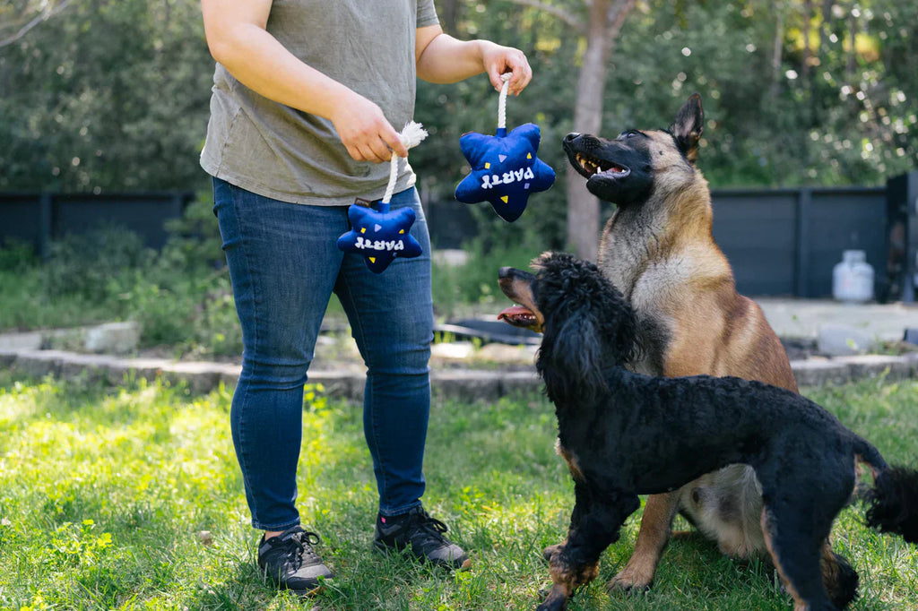 Party Time (Mini) Balloon XS  - Dog Toys