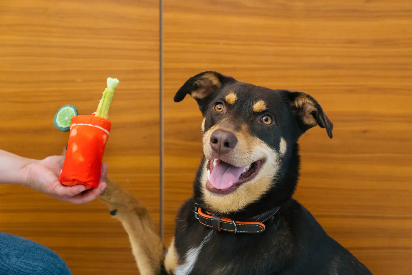 Barking Brunch (Mini) Bloody Mary XS  - Dog Toys