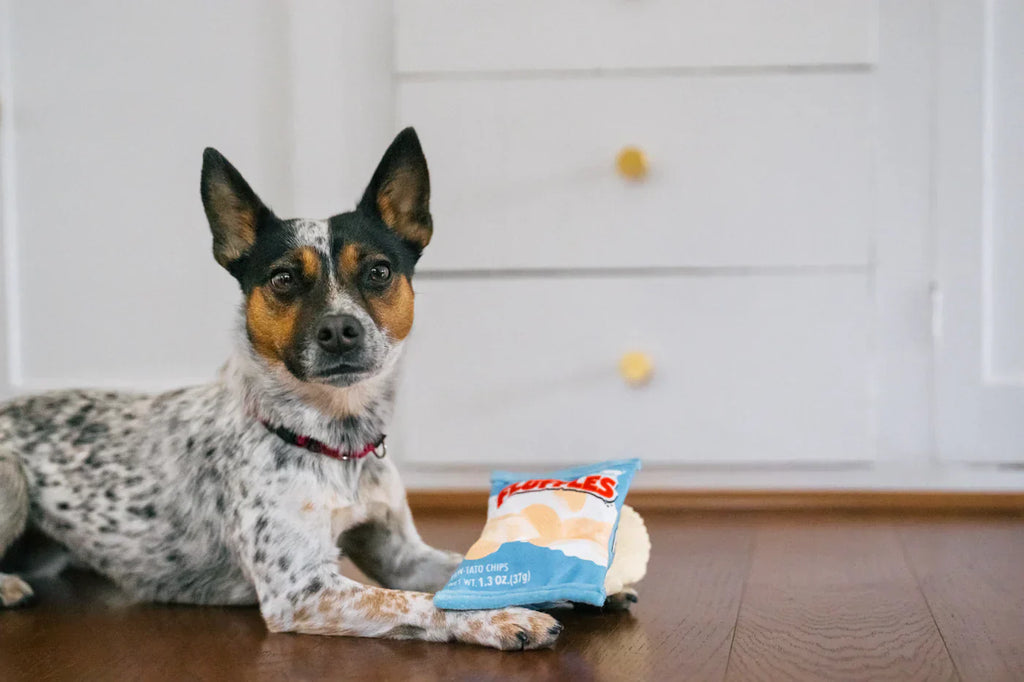 Snack Attack (Mini) Chips XS  - Dog Toys