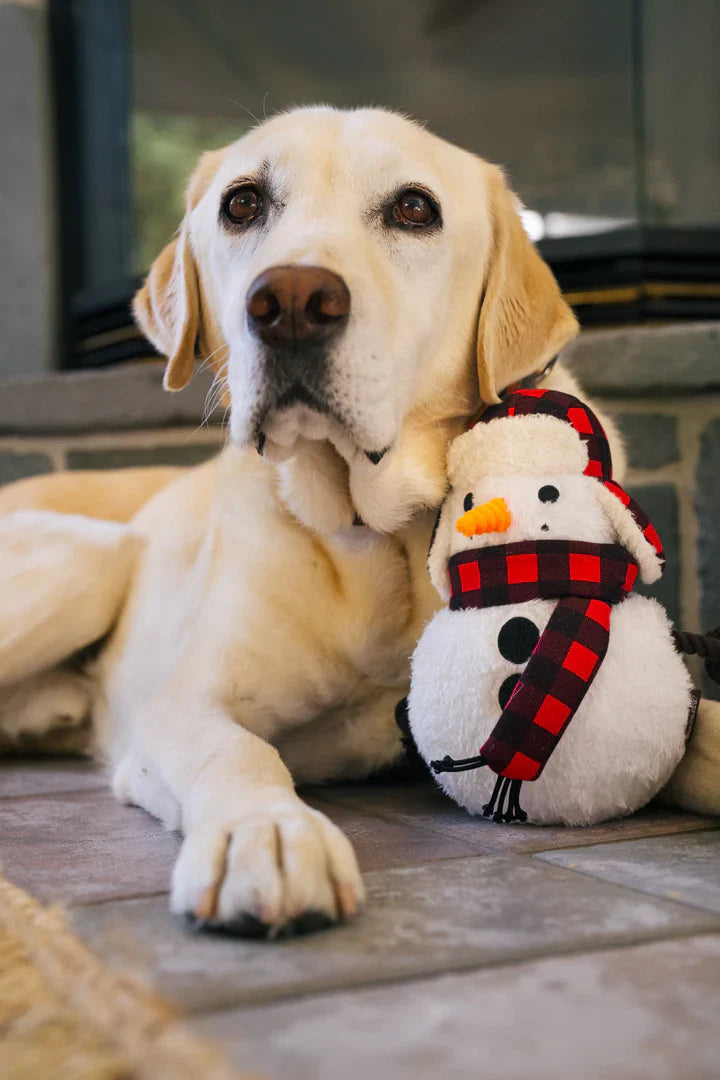 Home for Holiday - Snowman - Blizzard Buddy- Christmas - Dog Toys