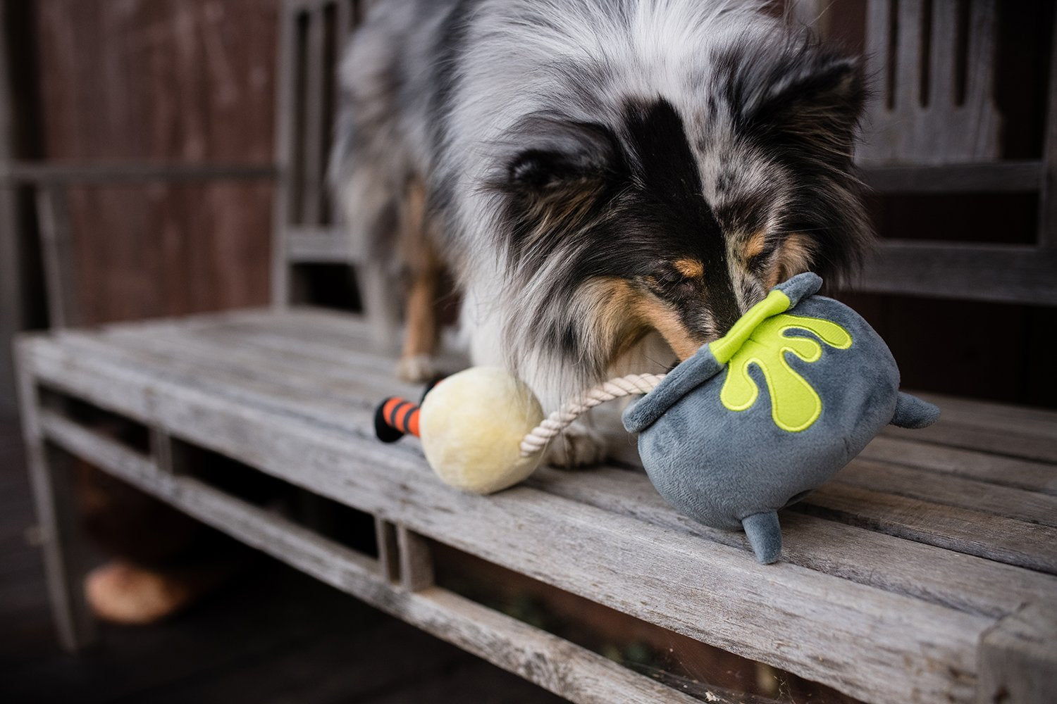 Howling Haunts Pups Potion