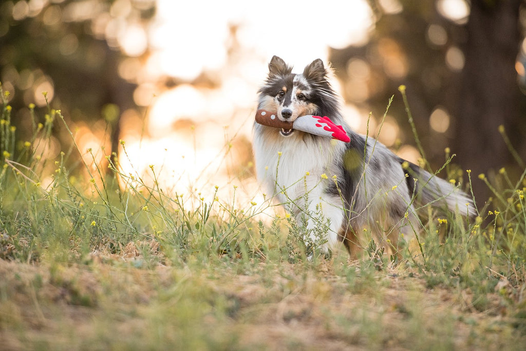 Howling Haunts Doggy Dagger
